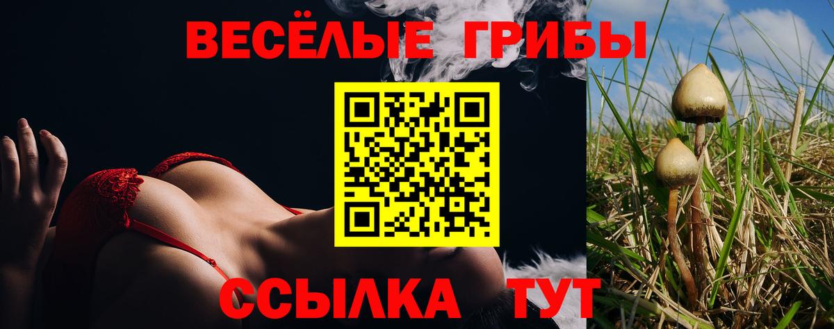 Галлюциногенные грибы прущие грибы Петропавловск-Камчатский