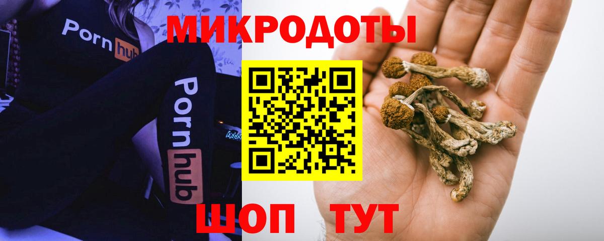 Петропавловск-Камчатский  Псилоцибиновые грибы MAGIC MUSHROOMS  Вход с VPN 